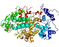 New knowledge about the building blocks of life