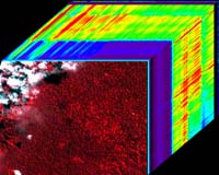 Amazon Drought Now Measured From Space