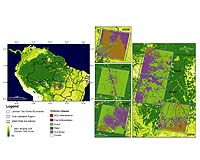 NASA Satellite Data Used By INPE Provides Rapid Analysis Of Amazon