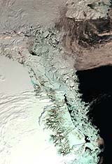Microbes Under Greenland Ice Give Hints To Martian Life Potentials