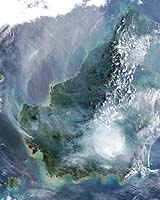 US Hails Borneo Rainforest Deal