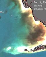 NASA Satellites Detect Glow Of Plankton In Black Waters