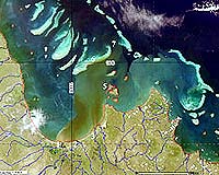Australia cracks down on Great Barrier Reef pollution