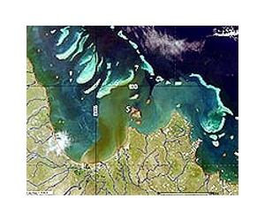 Seaweed chokes Australia's Great Barrier Reef