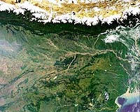 Himalayan Forests Disappearing