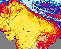 India Faces Severe Water Crisis In 20 Years: World Bank