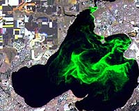Study Shows Eutrophic Lakes May Not Recover For A Millennium