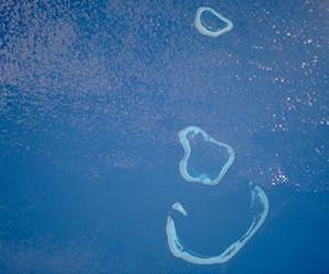 Remote reefs can be tougher than they look