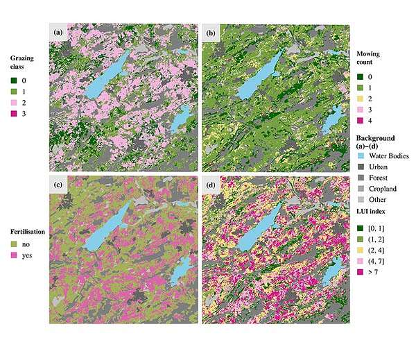 Studying grassland from space