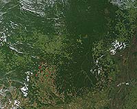 Brazil awaits verdict on controversial indigenous reserve