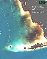 Satellites Spot Mighty Mississippi - In the Atlantic Ocean