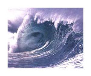 Small tsunami hits Japan after quake