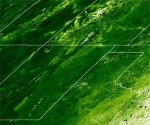 Monitoring Killer Mice From Space