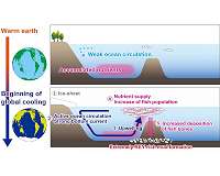 Fish fossils become buried treasure