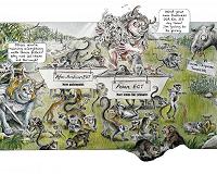 A filter that shaped evolution of primates in Asia