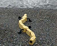Novel Salamander Robot Crawls Its Way Up The Evolutionary Ladder