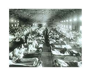 One in five were infected by pandemic flu