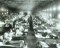 Breast cancer shows dramatic decline