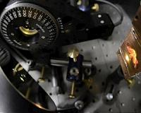 Exotic quantum effects can govern the chemistry around us