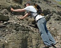 Significant baseline levels of arsenic found in soil throughout Ohio are due to natural processes