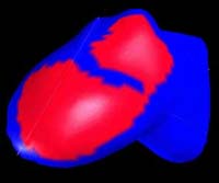 Solar X-rays Gives Eros That Special Glow