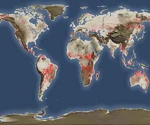 Satellites Reveal Russian Fires Worst In 14 Years