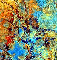 Satellite Shows How Logging Makes Forest More Flammable