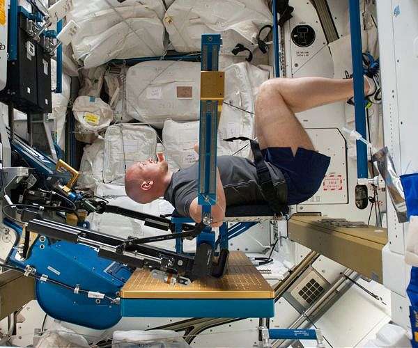 Immune System Changes During Space Travel Could Affect Aging on Earth