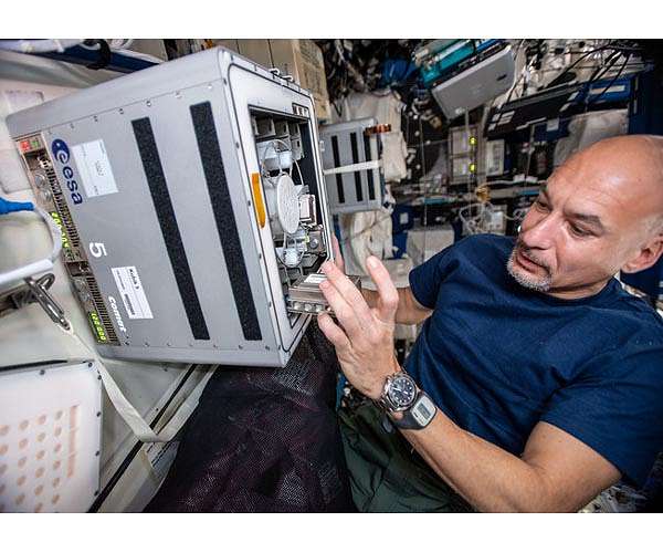 SpaceX returns vital life science research to Earth