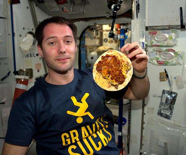 Understanding Astronauts' Microbiomes: A Key to Successful Deep Space Missions
