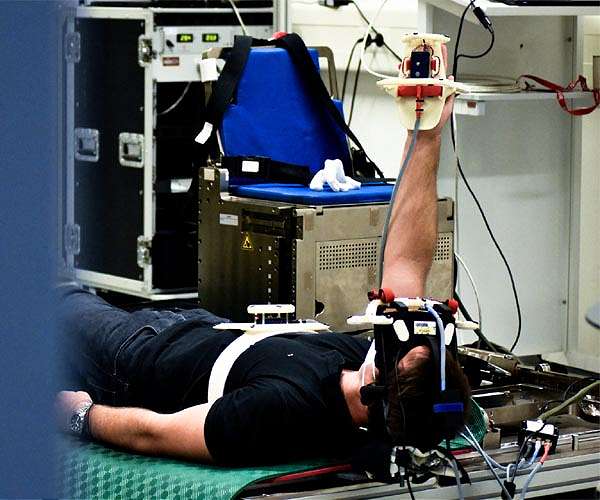 Understanding muscle wasting in space at the molecular level