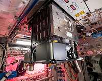 Space behaviour focus of Expedition 58