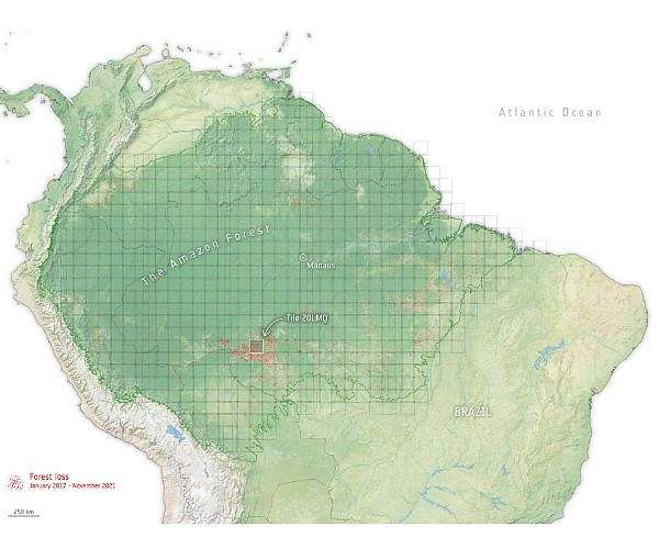 South American summit seeks roadmap to save Amazon
