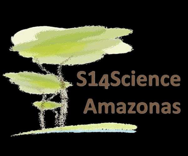 Using a data cube to monitor forest loss in the Amazon