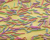 Study: New material kills E. coli bacteria in 30 seconds