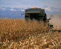 EU deputies seek to limit use of biofuels