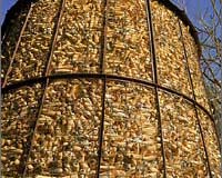 Biofuels must not deprive poor of food: EU official