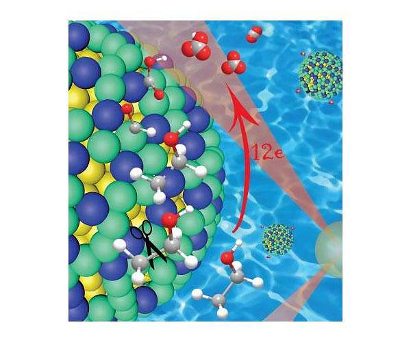 Direct Observation of Space Charge Layers Inside Fuel Cell Electrolytes