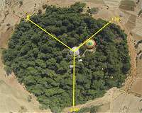 Culturally sensitive conservation approaches needed to protect Ethiopian church forests