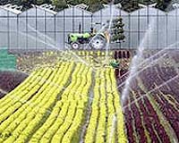 EU proposes easing grain rules to help fight high prices