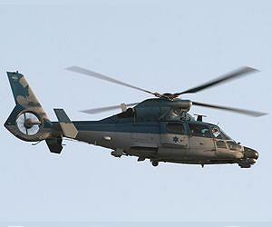 German helicopter deal examined by federal auditors: report