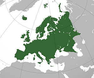 EU to extend coastal pollution fines to 200 nautical miles