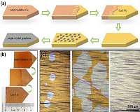 Large single-crystal graphene is possible