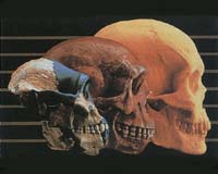 Evolution Science Back On US Grant List