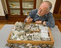 Researchers describe new North Pacific fossil whale