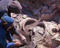 Ancient Volcano Seeds And Tree Rings Rewrite Late Bronze Med History