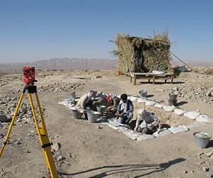 No single origin for agriculture in the Fertile Crescent