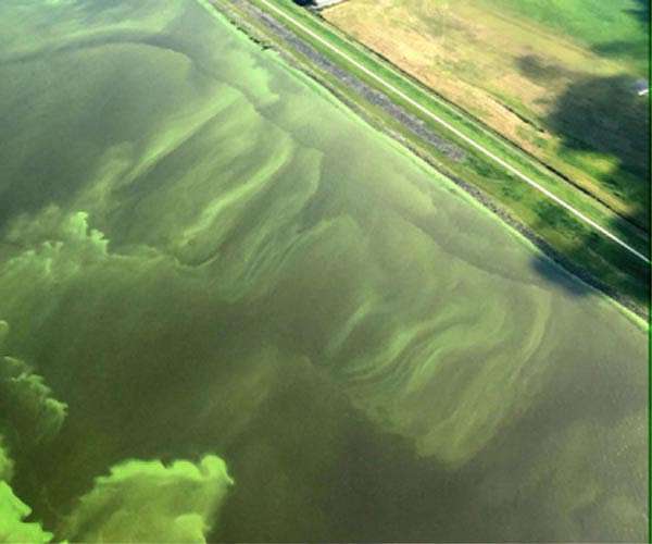Researchers find declining nitrogen availability in a nitrogen rich world