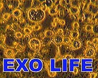 World's Most Alkaline Life Forms Found Near Chicago