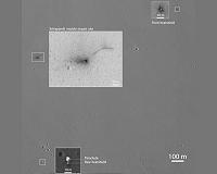 Detailed images of Schiaparelli and its descent hardware on Mars